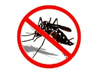 18-dengue